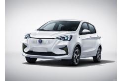 China 310km EV Hatchback Electric Vehicle Changan Benben E Star New Energy Car supplier