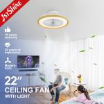 Dimmable LED Ceiling Fan with Remote and High Airflow 110-240V/50Hz-60Hz Low Profile for sale