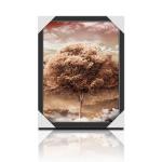 PP / PET Direct Custom Lenticular Printing 3D PIctures For Calendar