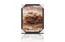 China PP / PET Direct Custom Lenticular Printing 3D PIctures For Calendar supplier