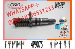 China Excavator Diesel Engine Fuel Injector Nozzle 0R3051 4P-9075 4P9075 supplier