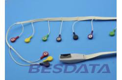 China Compatible Mortara 10 Lead ECG Cable , 10 Lead ECG Electrode Placement TP3250 supplier