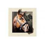 Stock Horse Image 5D Pictures Lenticular Photo Printing PET/PP Lenticular Printing