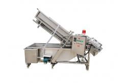 China SUS 304 500kg/h Air Bubble vegetable sanitizer machine supplier