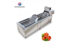 China Industrial Fruit And Vegetable Washing Machine Adjustable Temperature supplier