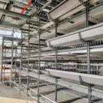China 4-Tier Fully Automated Layer Housing System with Galvanized Frame & Auto Collection manufacturer