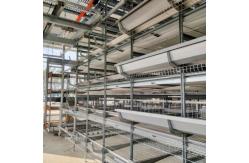 China 4-Tier Fully Automated Layer Housing System with Galvanized Frame & Auto Collection supplier
