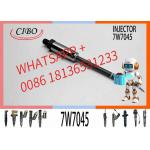 Fuel Injector Nozzle 170-5181 7W7045 with Best Competitive Price 7W-7045
