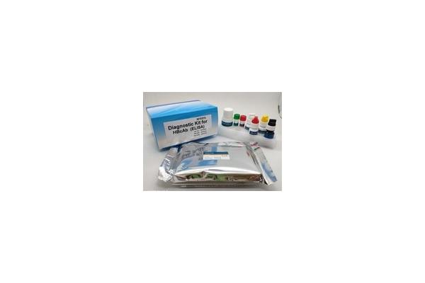 High Sensitivity Elisa Test Kit Easy Operate Hbcab Diagnostic High Efficiency
