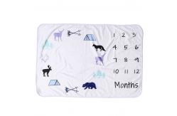 China Machine Weaved 300gsm Polyester Fleece Blanket For Year Round Use supplier