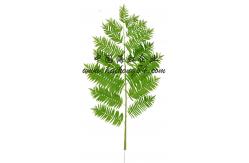 China Realistic HAIHONG 230cm Height Artificial Tropical Tree For Theme Park supplier