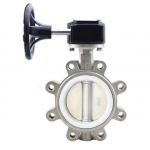 Mirror Epdm Lined Dn10 Cast Iron Flange Butterfly Valve With Handle Lever for sale