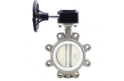 China Mirror Epdm Lined Dn10 Cast Iron Flange Butterfly Valve With Handle Lever supplier
