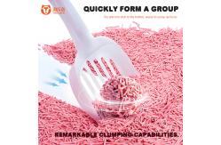 China Dust Free Tofu Litter Super Light Flushable Tofu Litter Cat Tofu Pellets supplier
