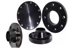 China Customizable ANSI Steel Flanges Class 300 With Rust Proof Oil Surface supplier