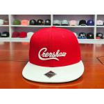 ACE OEM ODM Men Women Outdoor Creative Custom 3D Embroidery Logo Hip Hop Baseball Snapback Cap for sale
