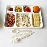 White Disposable Divided Plates Rectangle , Waterproof Rectangle Divided Paper Plates for sale
