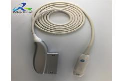 China GE  12s-Rs Phased Array Ultrasound Transducer Probe For Transcranial Doppler supplier