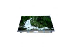 China LT131EE12000 13.1 inch 262K LVDS LCD Screen panel supplier
