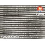 ASTM A312 TP304 / TP304L SMLS Austenitic Stainless Steel Pipes