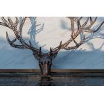 Metal Wall Decor Sculptures Outdoor Garden Bronze Deer Head Sculpture for sale