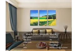 China Home Art Printed Acoustic Panel Soundproof Board Wall Decoration Painting supplier