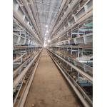 China H Type Full Automatic Egg Layer Chicken Cage Hot Dip Galvanized Material for sale