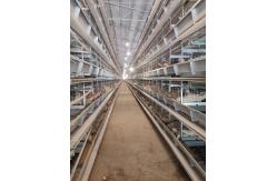 China 1950×2300×2000 Automatic Layer Battery Poultry Chicken Cage Chicken Layer Farming Equipment supplier