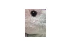China Talking & Walking Tie-Dye Unicorn Electric Plush Toy supplier