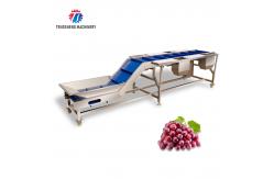 China Automatic Leafy Vegetable and Fruit Pea Tomato Lifting Sorter Machine supplier