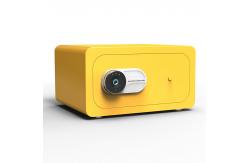 China Stain Resistant Fingerprint Lock Small Security Safe Box supplier