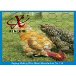 Durable Pvc Coated Chicken Wire Mesh For Poultry Easy Maintenance