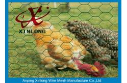 China Durable Pvc Coated Chicken Wire Mesh For Poultry Easy Maintenance supplier