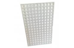 China EPS foam seedling tray Customized vegetable, flower and tobacco seedling tray supplier