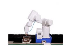 China Customization Intelligent Robotic Colorimeter Online Inspection System supplier