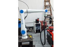 China Palletizing Robot Arm manufacturer