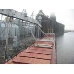 Cost Effective Bulk Carrier Loading Procedure Low Expense Time Saving for sale