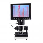 Portable Led Display Nail Fold Capillaroscopy Microscope 400x Magnification for sale