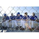 PVC Coated / Galvanized Playground Security Fencing 8ft High Chain Link Security Fencing for sale