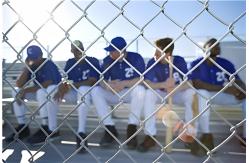 China 4ft 6ft 8ft Farm Filed PVC Coated Hot Dipped Galvanized Chain Link Fence supplier