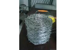 China Galvanized Reverse Twist Barbed Wire Fence Hot Dip Galvanized BWG14xBWG14 supplier
