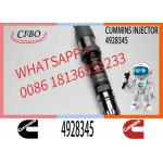 Q19 diesel engine common rail injector 4087888 4087889 4928348 4010025 4928345 4928346