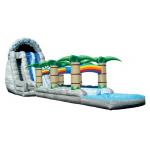 Inflatable Water Slide, hippo slide , inflatable giant palm slide for sale