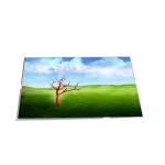 RGB Vertical Stripe B154PW02 V3 15.4 inch 60Hz 110PPI LCD Display for sale