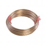 Copper Nickel Alloy  CuNi1 / CuNi2 / CuNi 6 / CuNi10 Resistance Wire for sale