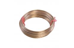 China Copper Nickel Alloy  CuNi1 / CuNi2 / CuNi 6 / CuNi10 Resistance Wire supplier
