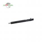 Common Rail Fuel Injector EJBR04501D A6640170121 for Delphi Engine