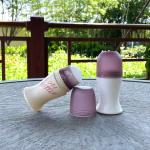 Plastic 75ml Refillable Roll On Bottle Empty Perfume Bottles Deodorant Roller Bottle