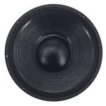 700 Watt Pro Audio Powered Subwoofer B&C PA Speaker 38Hz - 2000Hz