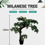 Potted Pine Tree for Home Decoration for sale